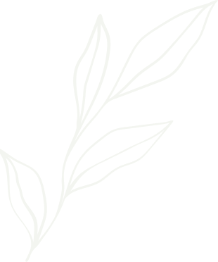 Juniper